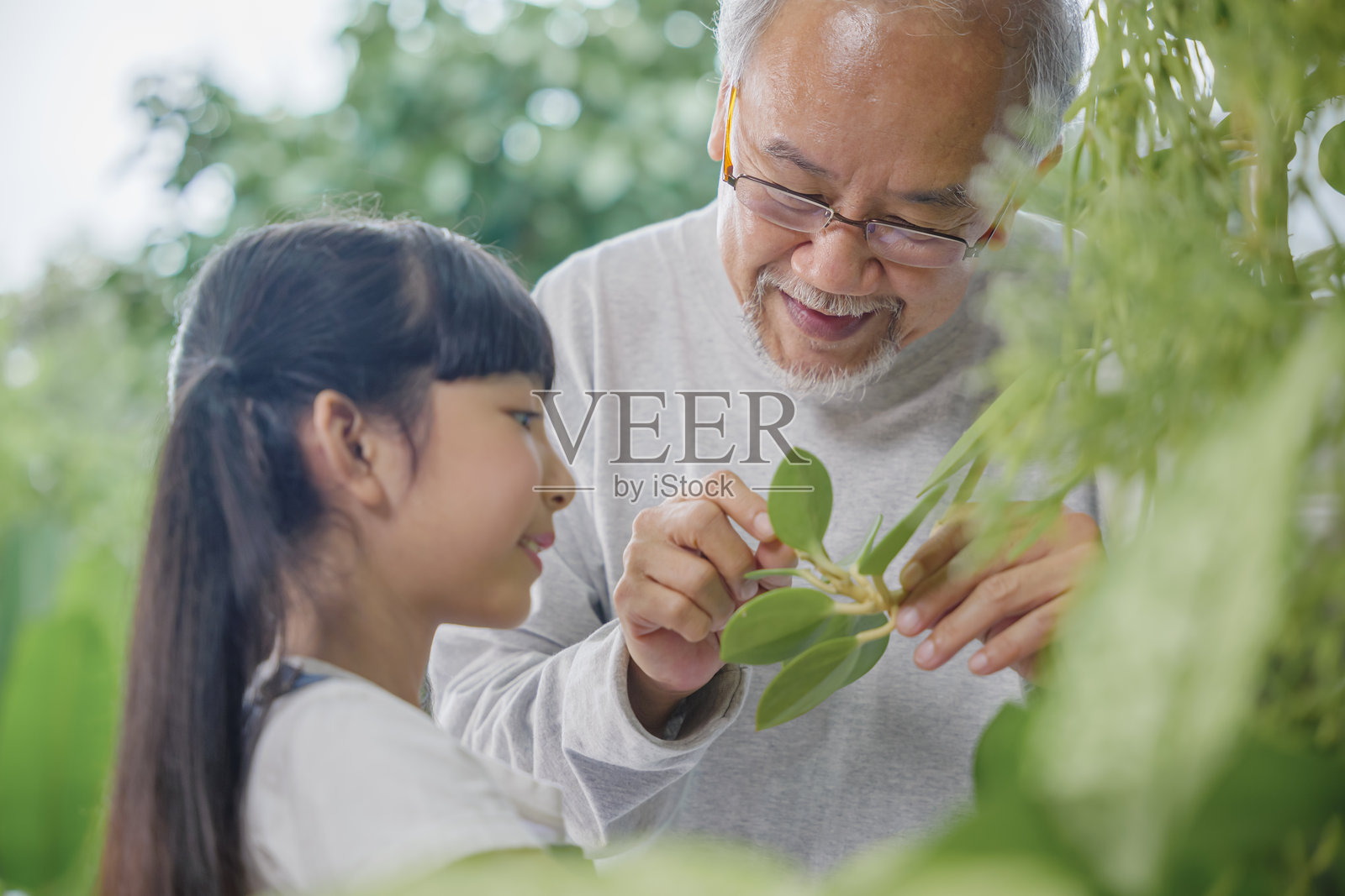 年轻漂亮的亚洲女孩和祖父在家中绿色盆栽旁边站着，庆祝世界环境日照片摄影图片