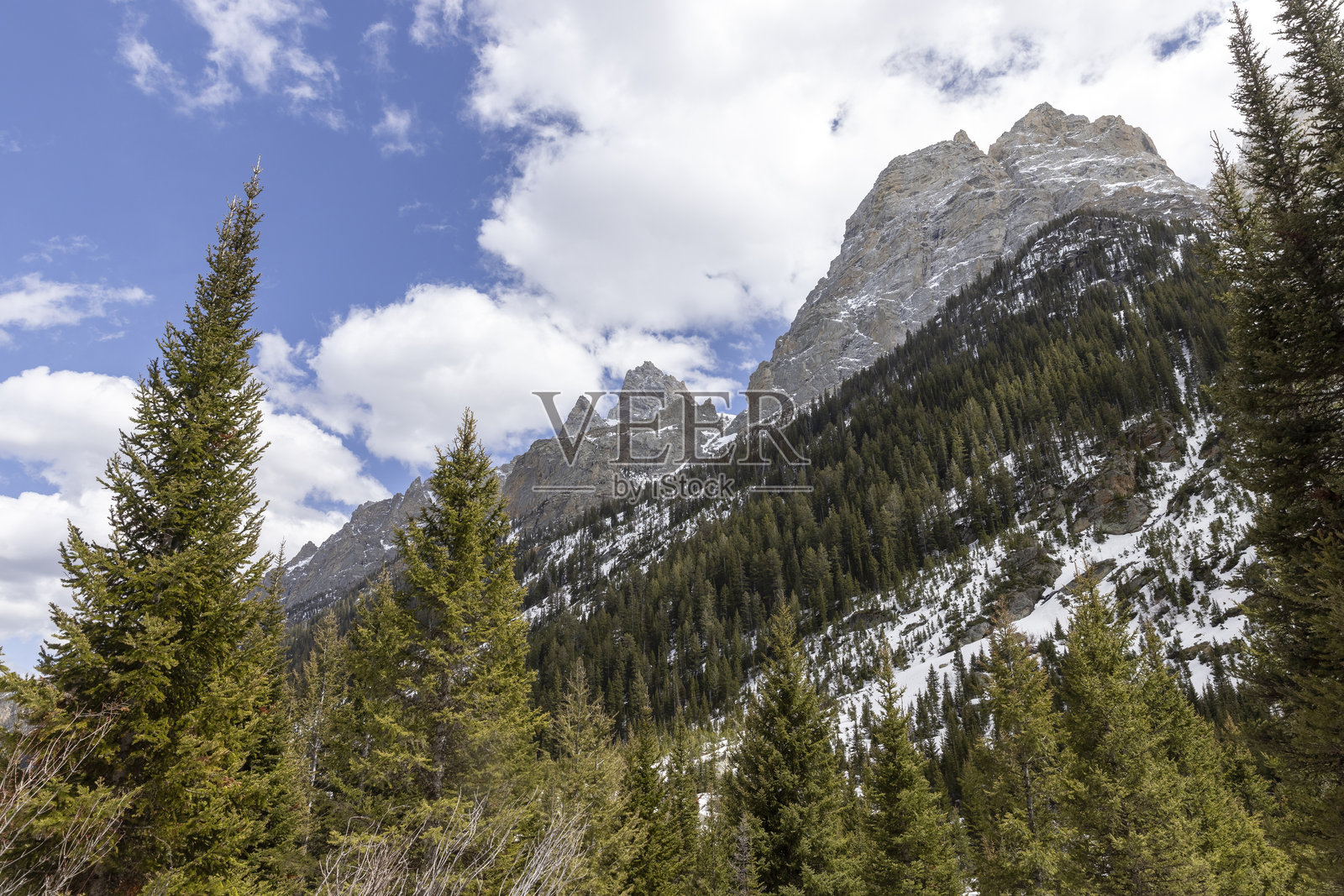 大提顿国家公园的瀑布峡谷照片摄影图片