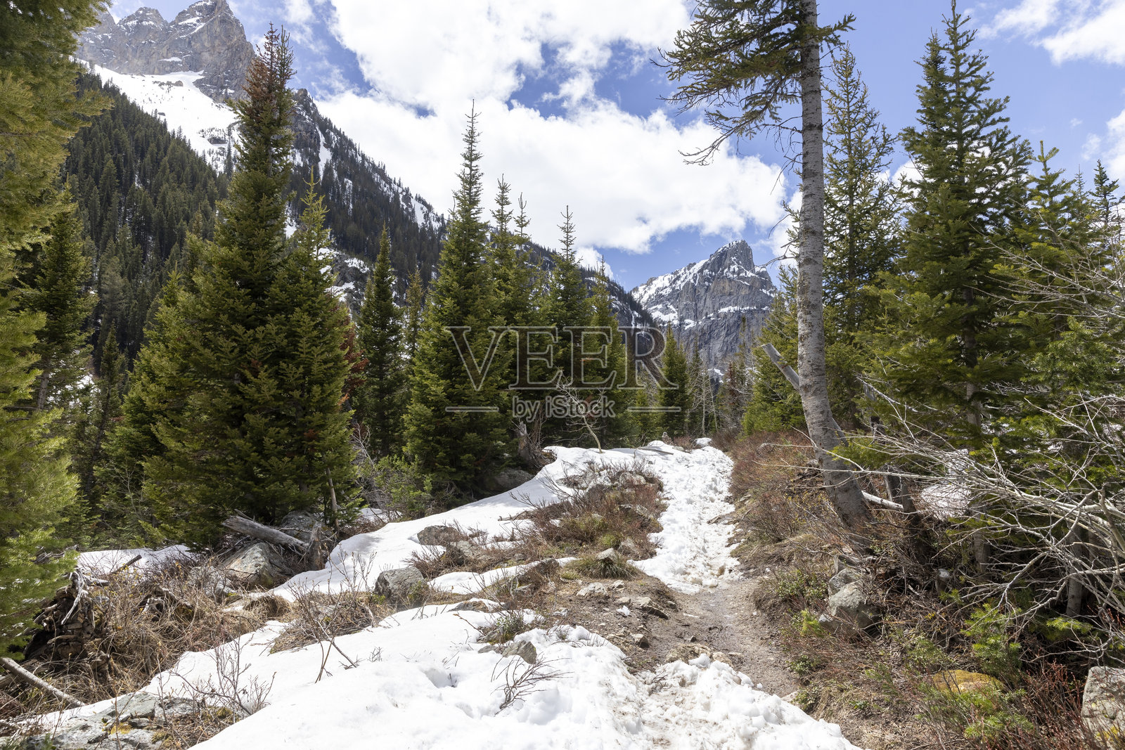 大提顿国家公园的瀑布峡谷照片摄影图片