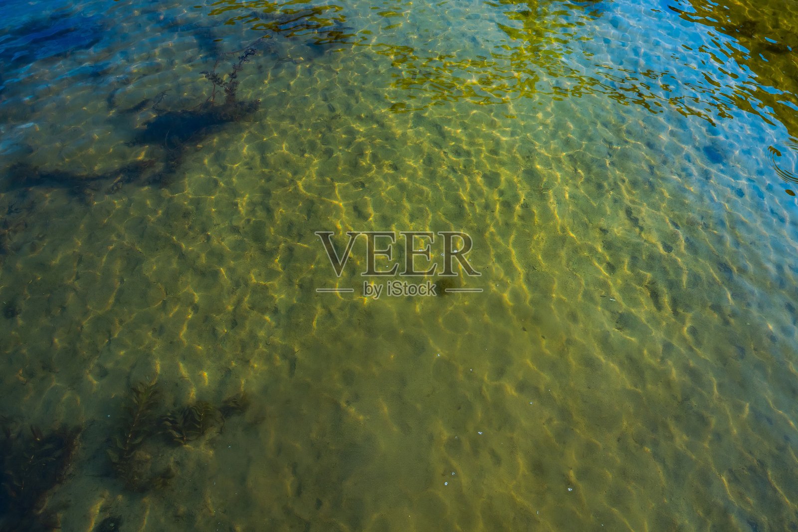 阳光照射下的清澈浅水和沙底照片摄影图片