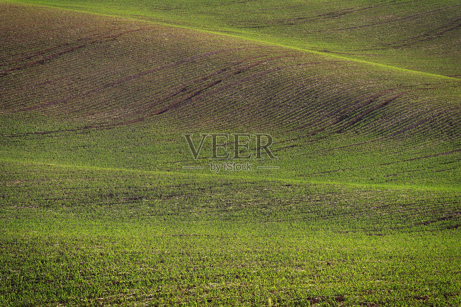 美丽的春季风景，田野、山丘和日落。捷克共和国 - 南摩拉维亚（摩拉维亚的托斯卡纳）。农业、旅行、环境和自然的概念。照片摄影图片