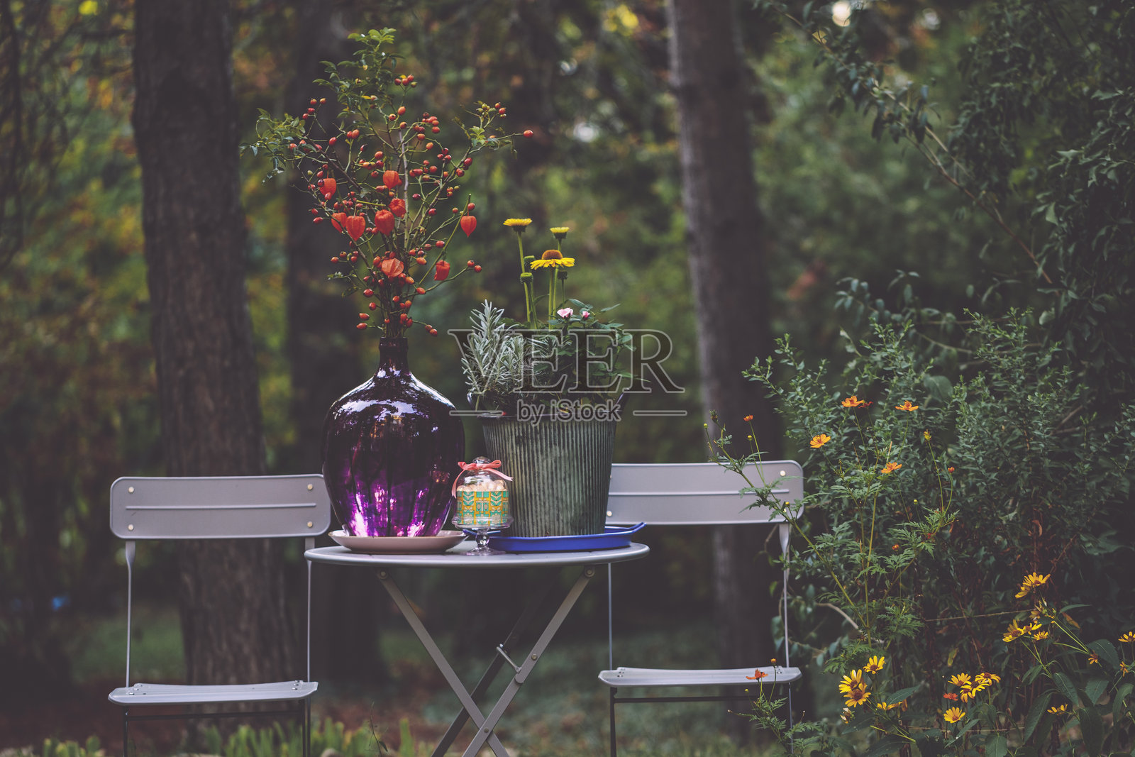 花园中的花卉布置照片摄影图片