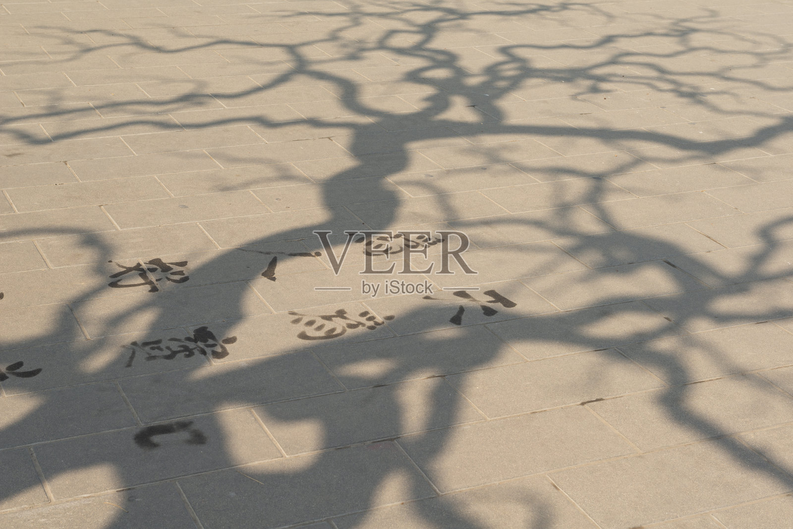 在树下的 pavement 上用水和毛笔书写的诗句中的汉字照片摄影图片