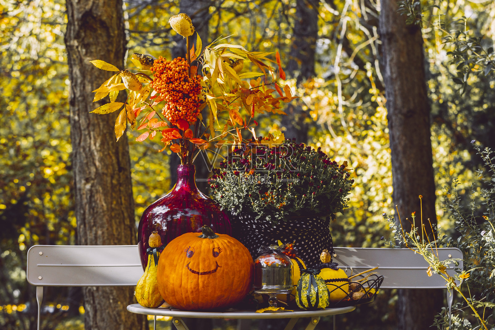 花园中的花卉布置照片摄影图片