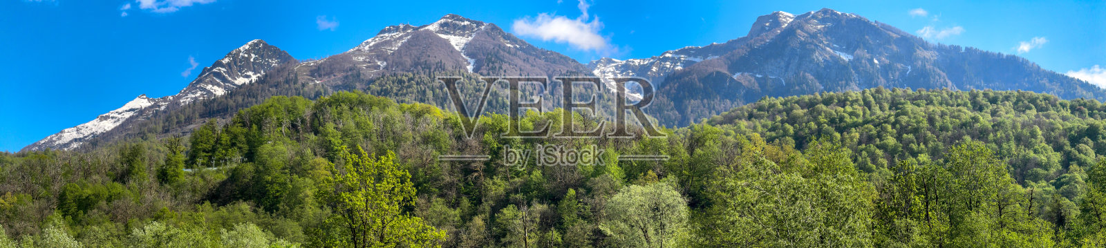 一座山脉，顶部覆盖着雪，前景是绿色的树木照片摄影图片