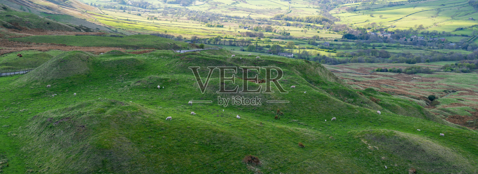 皮克区的风景与农场动物。照片摄影图片