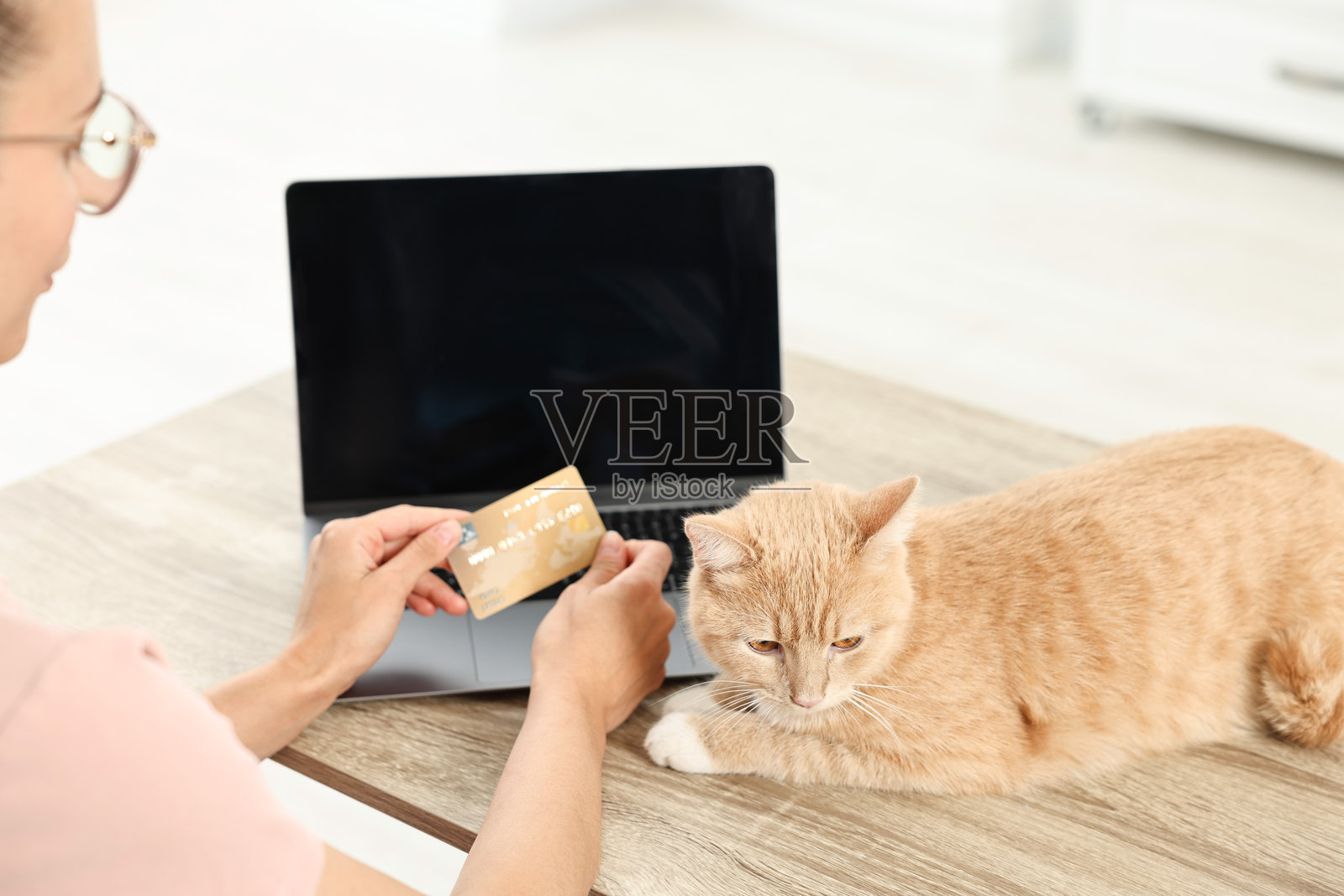在线宠物商店。女人在室内木桌上用笔记本电脑、信用卡和可爱的猫咪下单，特写镜头。照片摄影图片