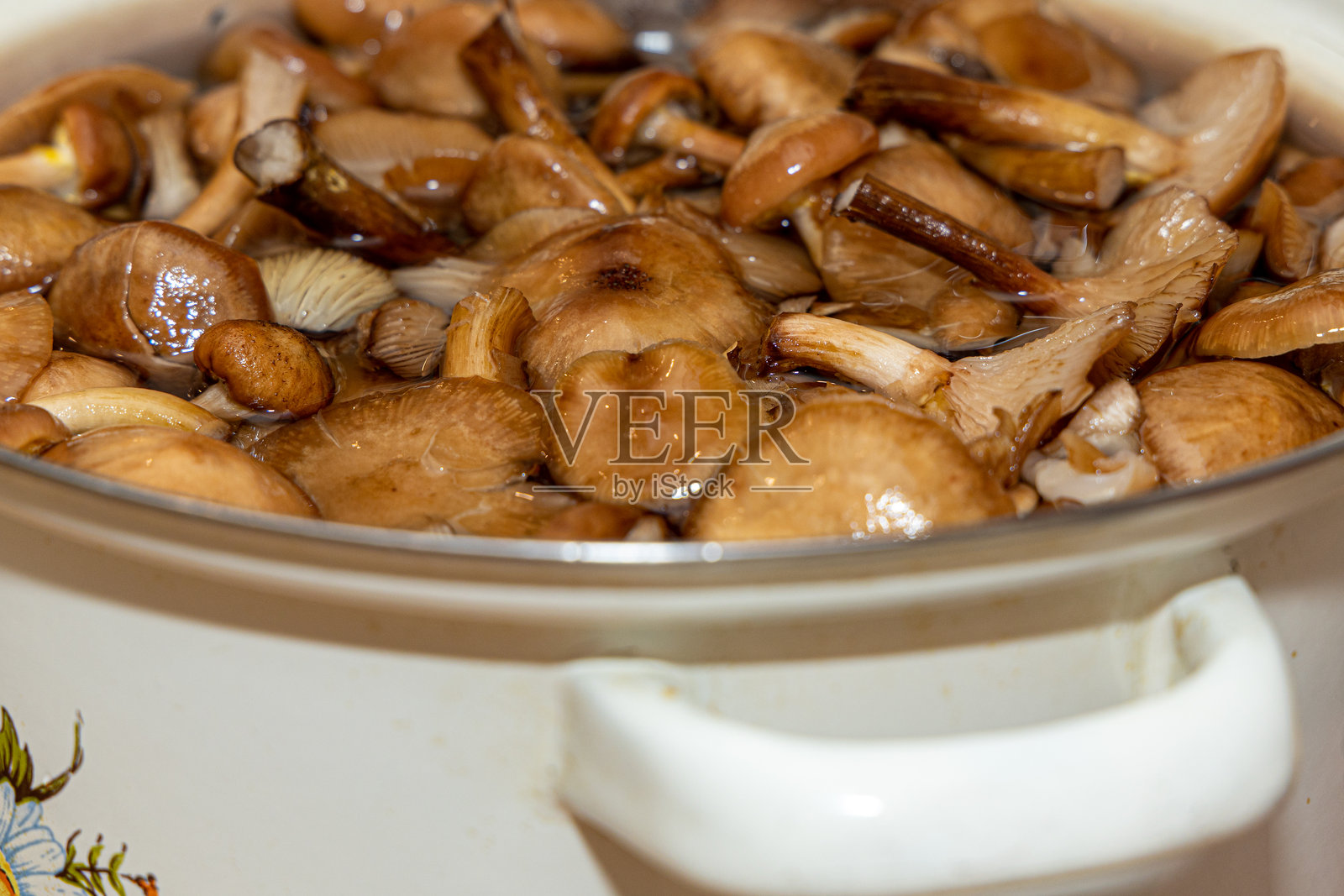 美味的蜜环菌放在陶瓷盘中。蜜环菌（Armillaria mellea）在碗里。选择性对焦。浅景深。锅中的蘑菇。照片摄影图片