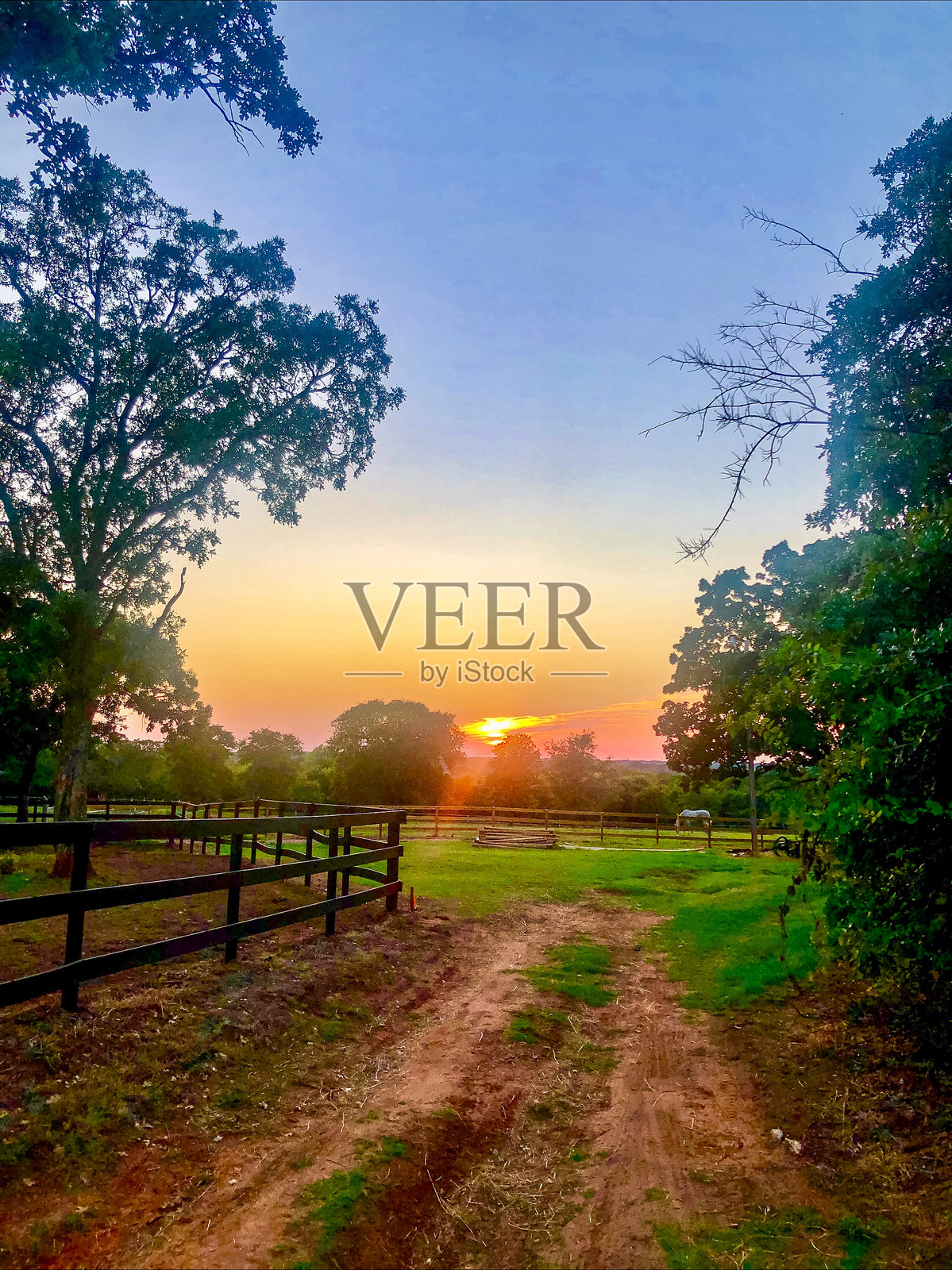 乡村小路照片摄影图片