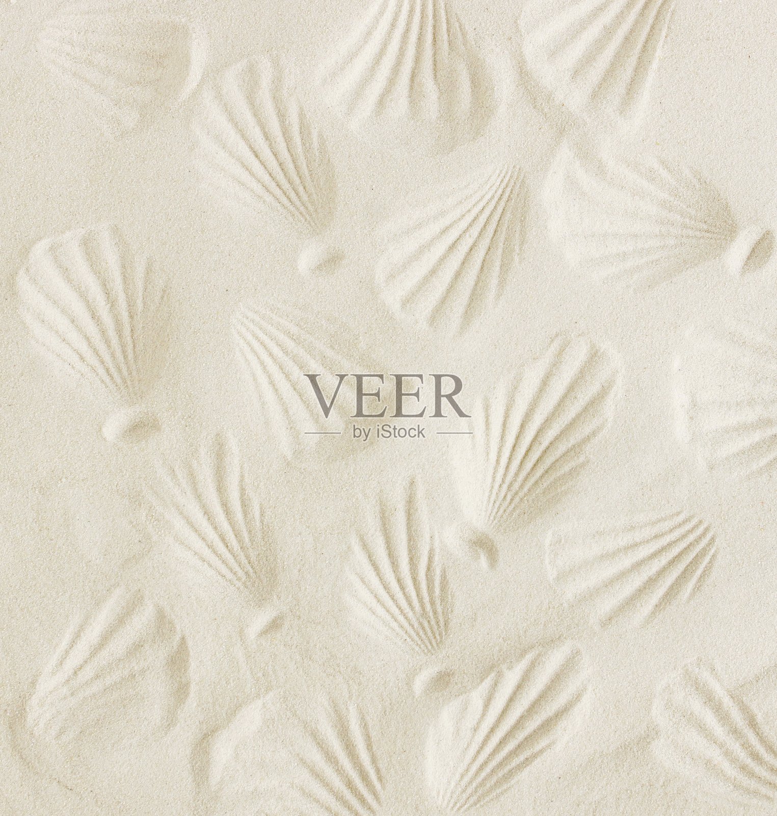 沙滩质地，带有贝壳印记图案。照片摄影图片