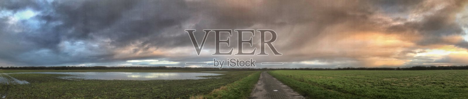 德伦特省乌费尔特村边缘的乡村景象照片摄影图片