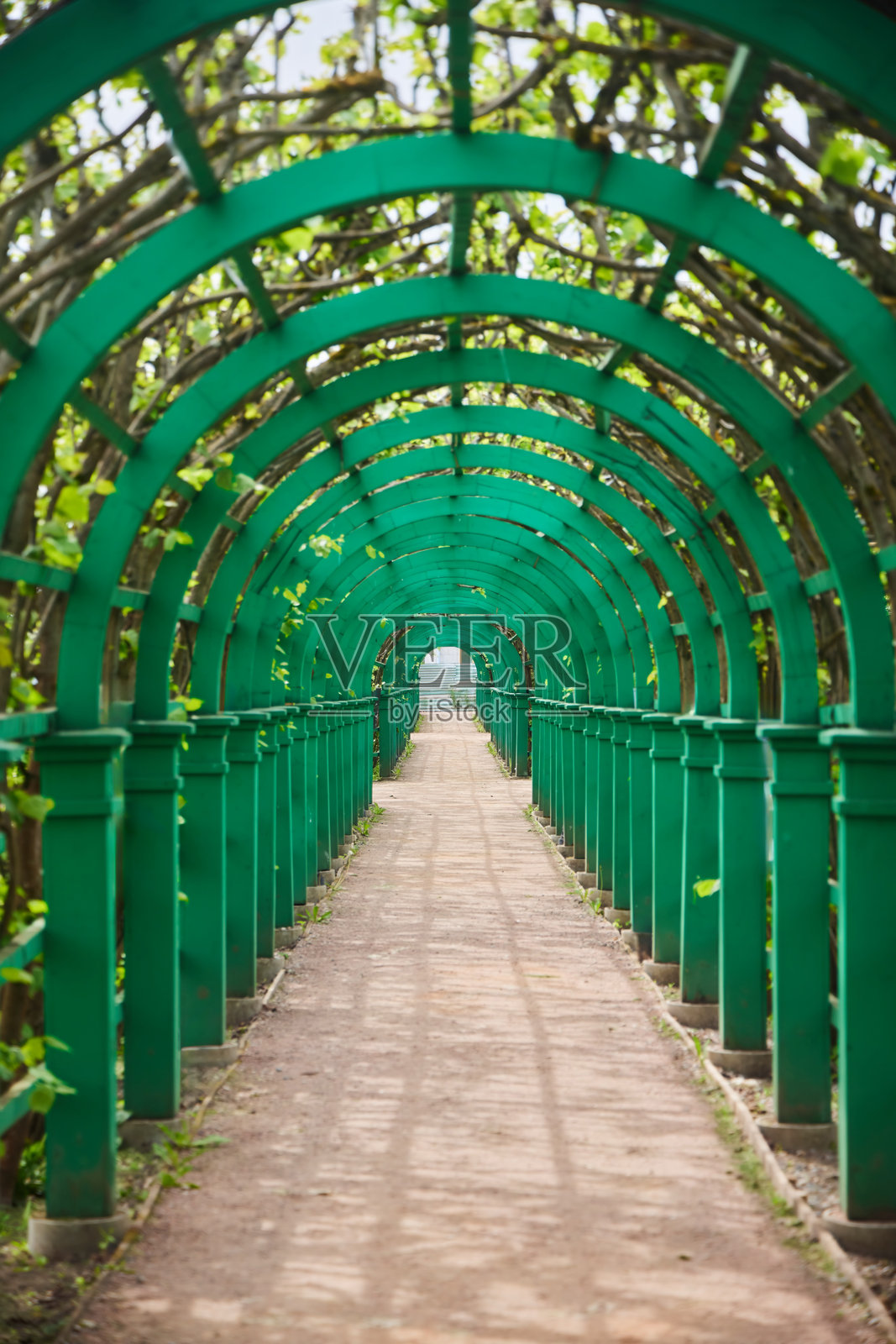 木制拱门用于花卉植物。公园景观设计照片摄影图片