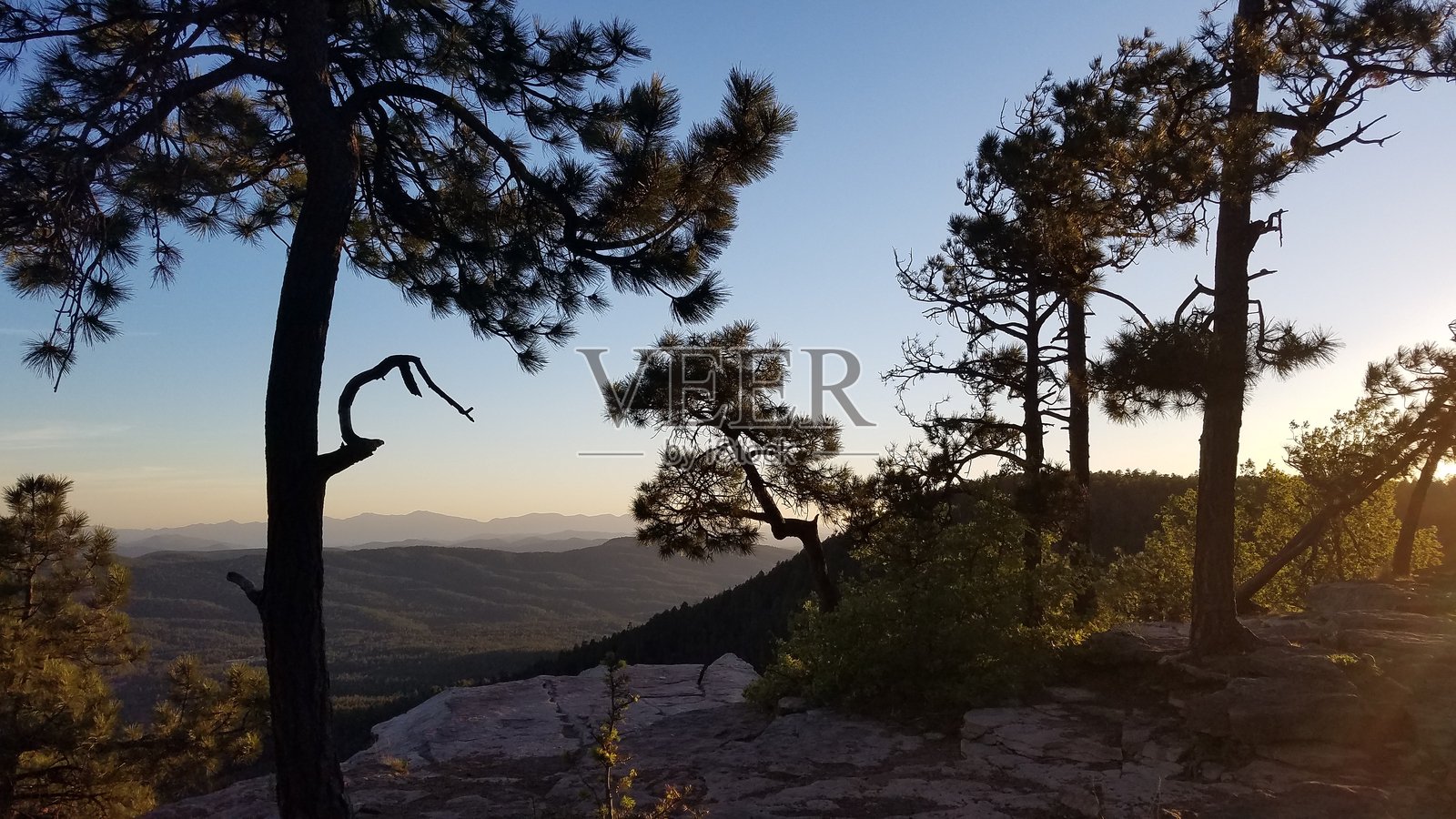 莫戈隆边缘，日落时的松树，佩森，亚利桑那州照片摄影图片