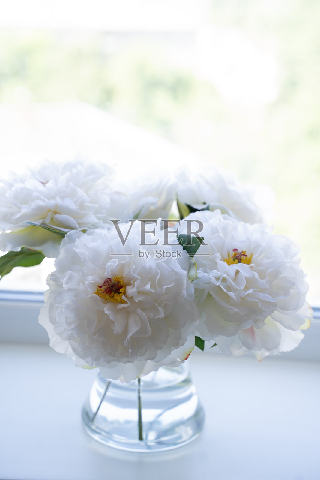 一束美丽的白色人造牡丹花在窗台上的透明花瓶中，看起来像真的花。照片摄影图片