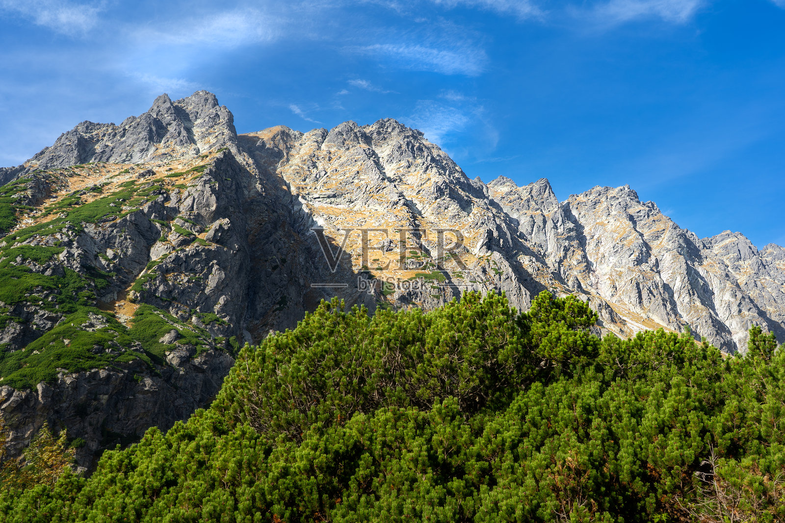壮丽的山峰在晴朗的蓝天下，前景是郁郁葱葱的绿植 - 适合自然爱好者、徒步旅行者和冒险者照片摄影图片