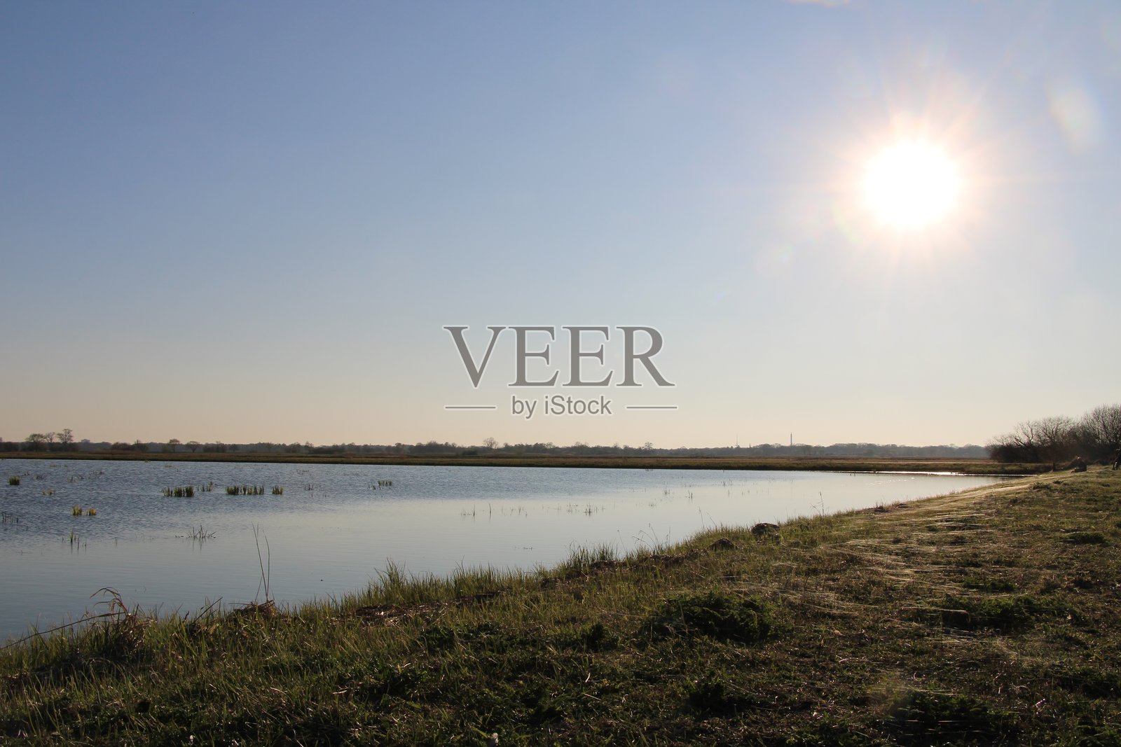 德国北部春季的洪水湿地照片摄影图片