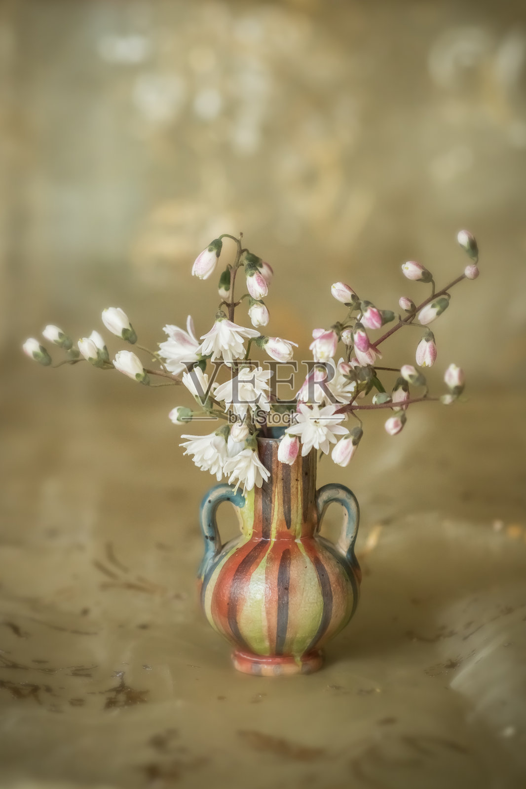 花瓶中的花；粉白色的光明石花的优雅与美丽照片摄影图片