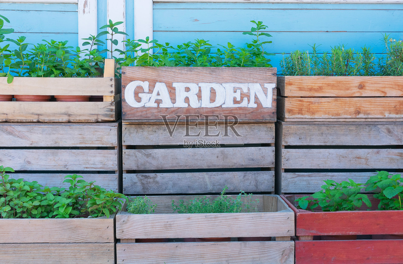 乡村花园与木质花箱照片摄影图片