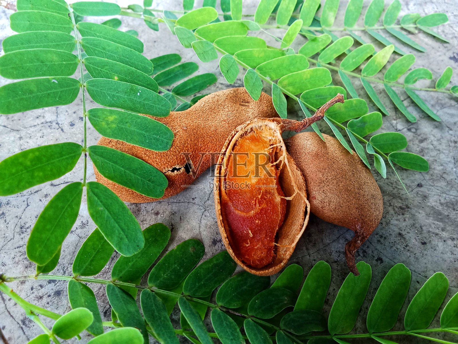 罗望子果照片摄影图片