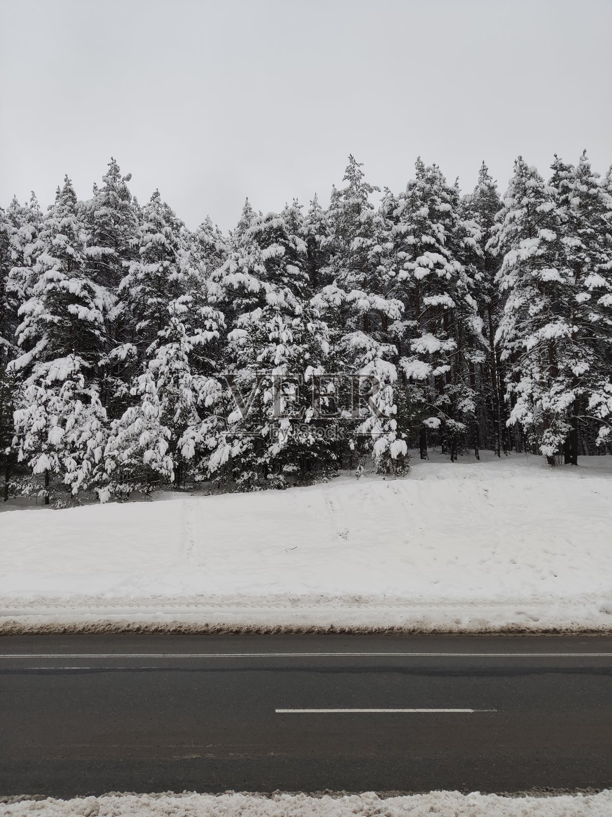 自然的和谐照片摄影图片