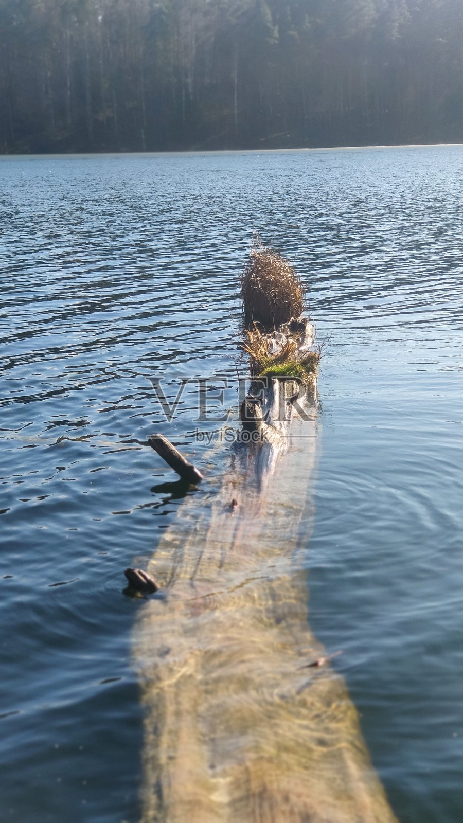 循环照片摄影图片