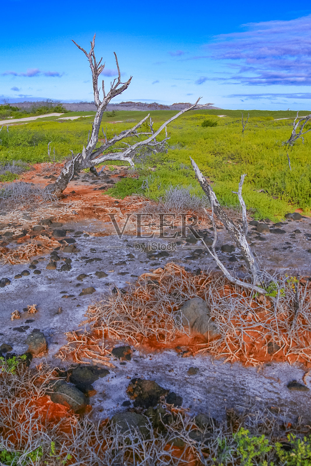 加拉帕戈斯国家公园的火山景观，联合国教科文组织世界遗产，加拉帕戈斯群岛，厄瓜多尔照片摄影图片