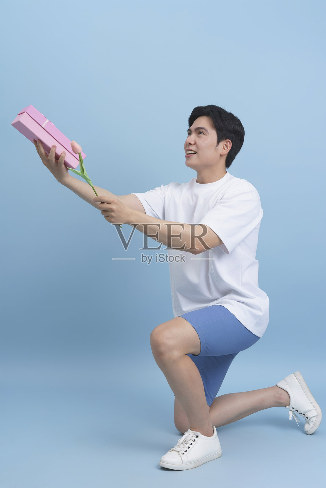 跪着的男人手捧礼物和花朵，背景为浅蓝色照片摄影图片