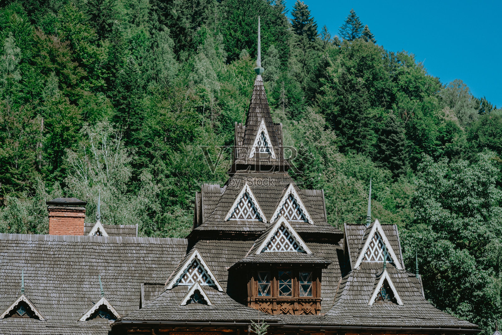 历史悠久的木结构建筑，精美的建筑设计坐落在郁郁葱葱的树木之间，阳光明媚。照片摄影图片