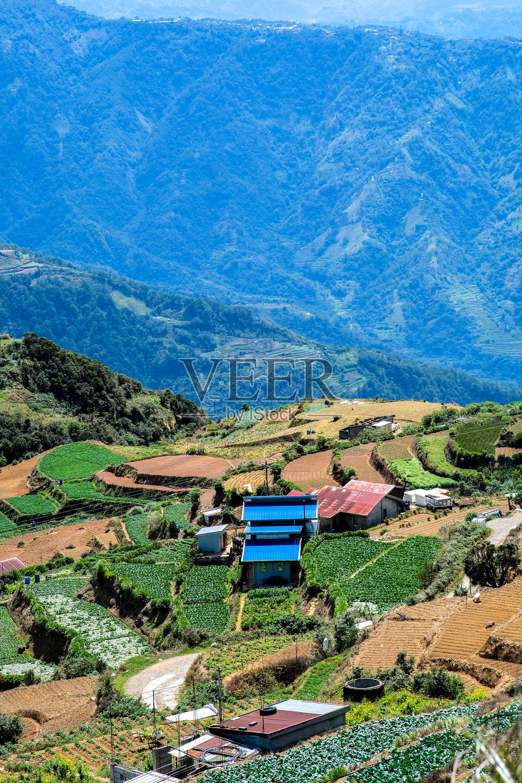 菲律宾本格特省阿托克的索利斯山梯田。照片摄影图片