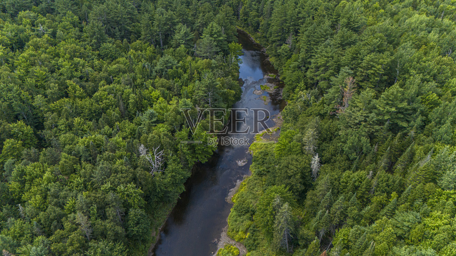 新不伦瑞克省的夏季河流。照片摄影图片