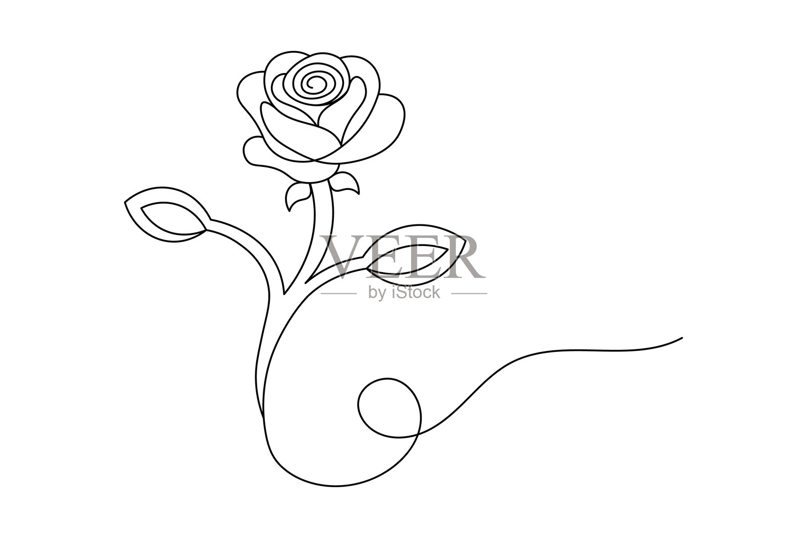 玫瑰花连续线条绘画 优雅的极简玫瑰一笔画 矢量图插画图片素材