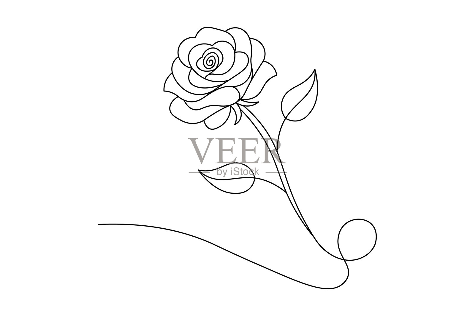 玫瑰花连续线条绘画 优雅的极简玫瑰一笔画 矢量图插画图片素材