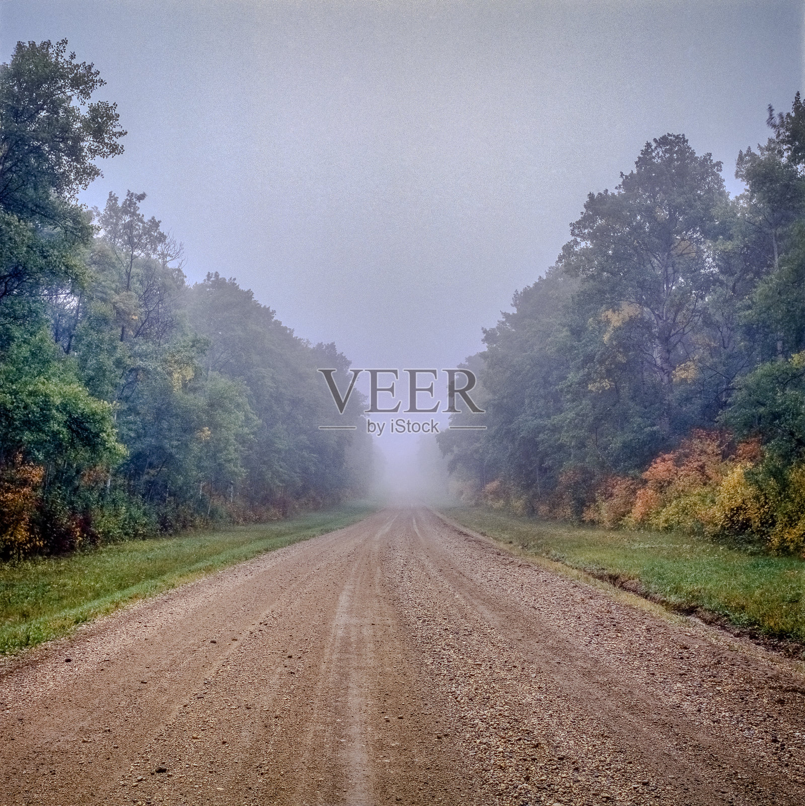 进入雾中照片摄影图片