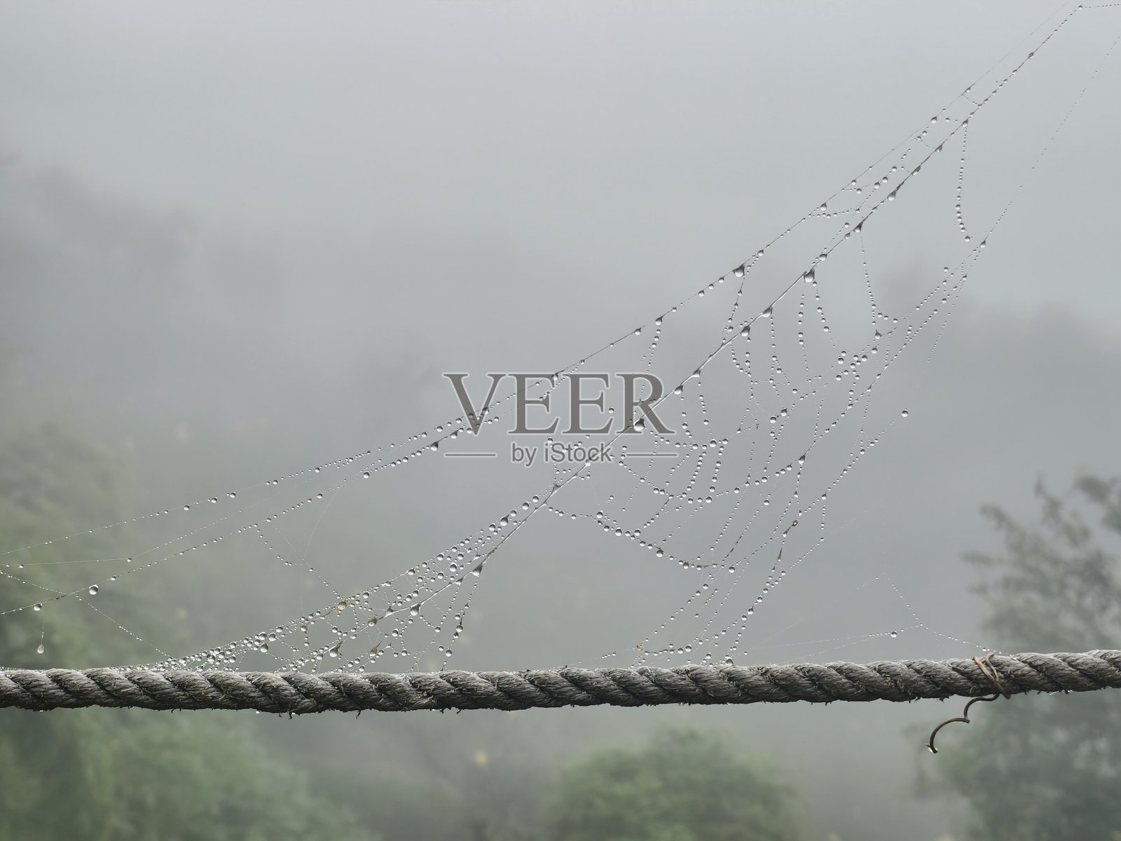 绳子上的水滴照片摄影图片