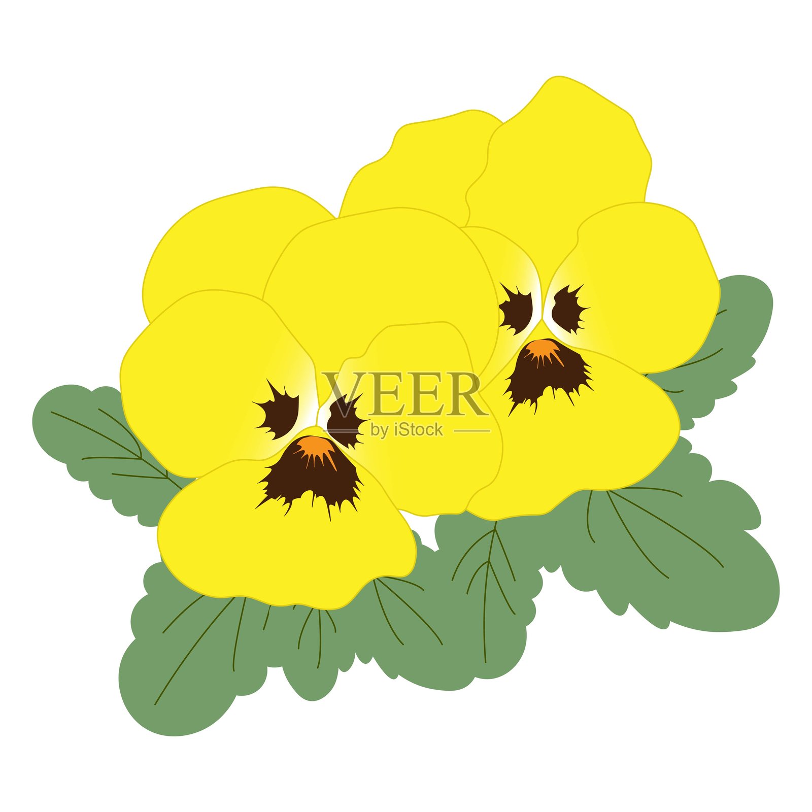 黄色的三色堇插画图片素材