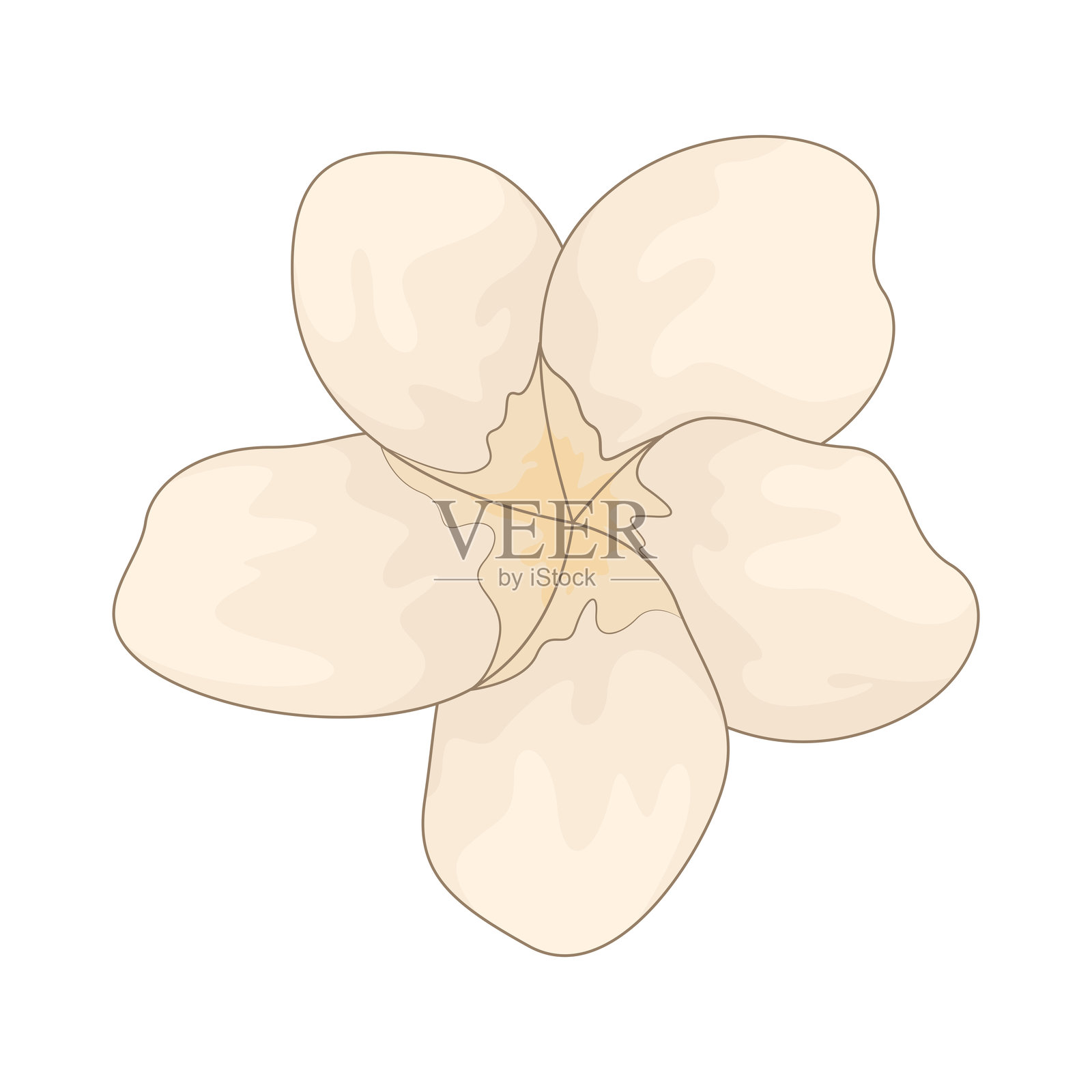 夹竹桃花插画图片素材