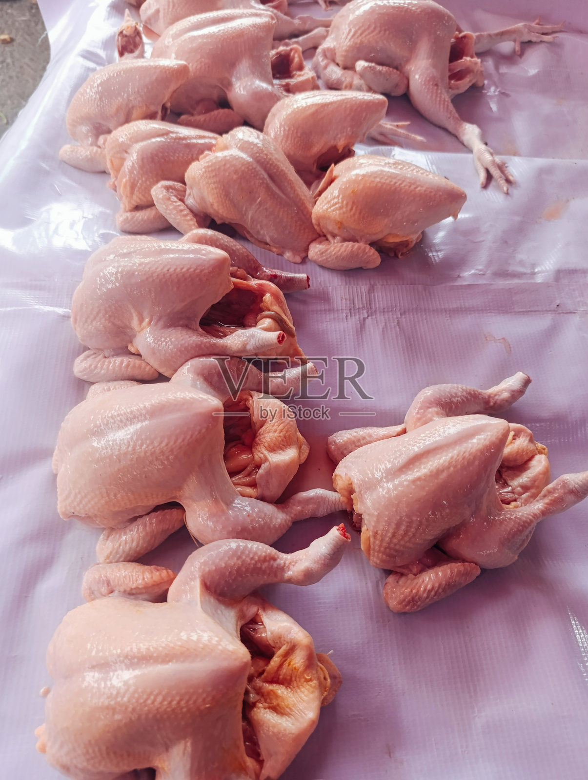 几只完整的生鸡展示在塑料布上，可能是为了加工或销售的准备。照片摄影图片