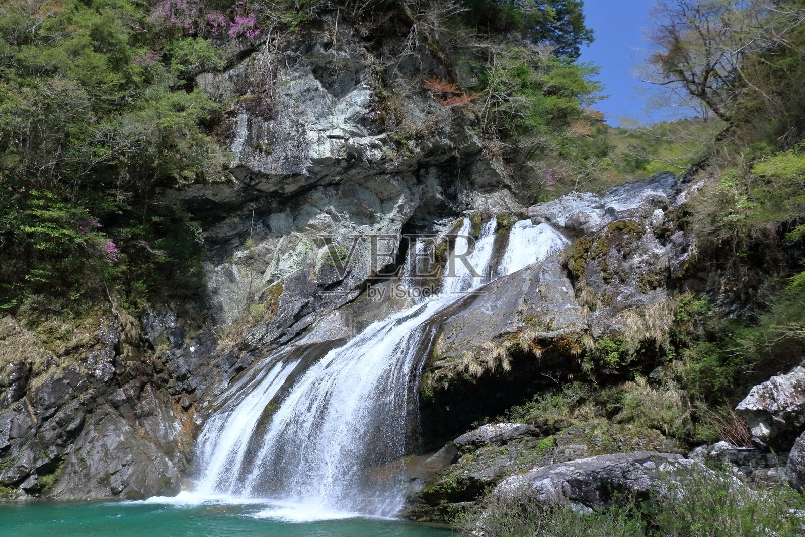 瀬戸川谷的雨乞瀑布，清新的初夏（高知县土佐町）照片摄影图片