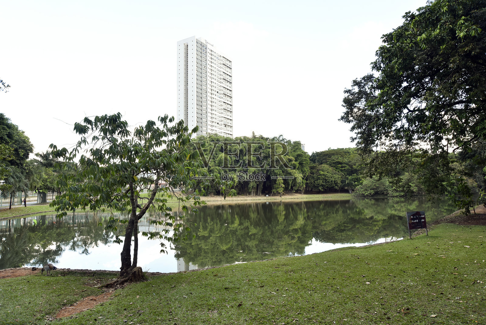 巴西戈亚斯州戈亚尼亚的阿雷昂公园，森林，湖泊，城市休闲，体育活动，环境照片摄影图片