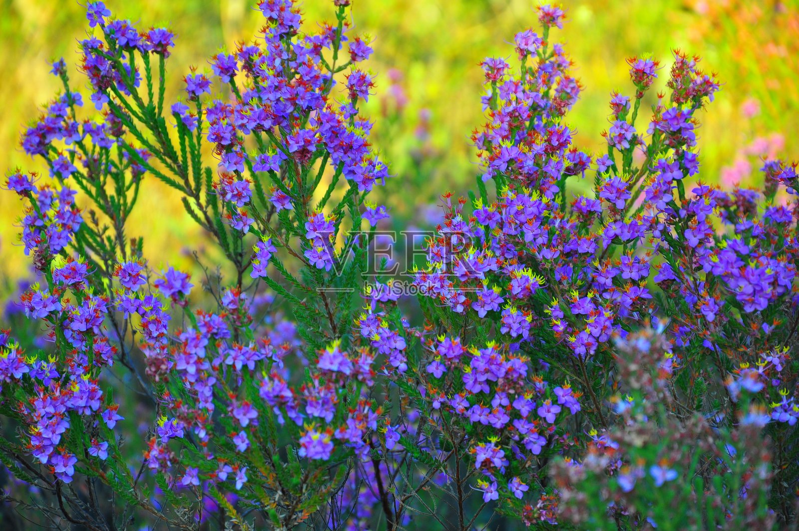 矿工关闭照片摄影图片