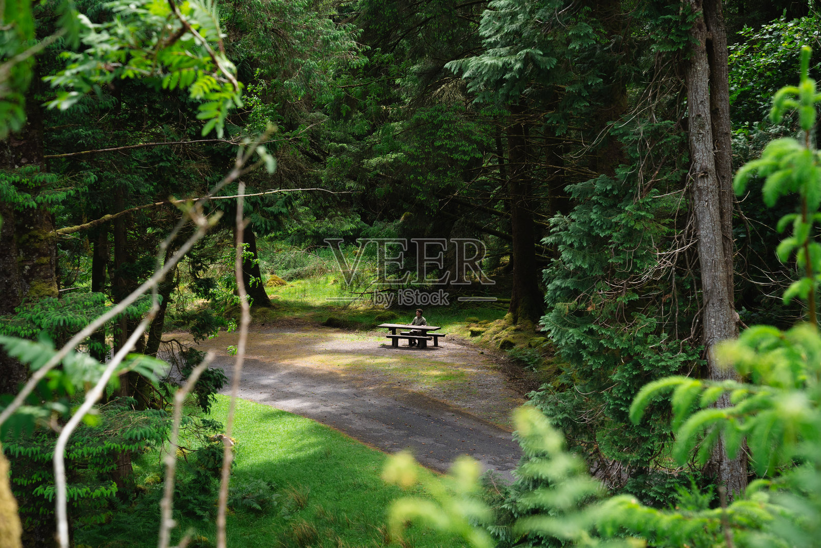 游客在爱尔兰的古根巴拉国家森林公园的野餐桌旁休息照片摄影图片