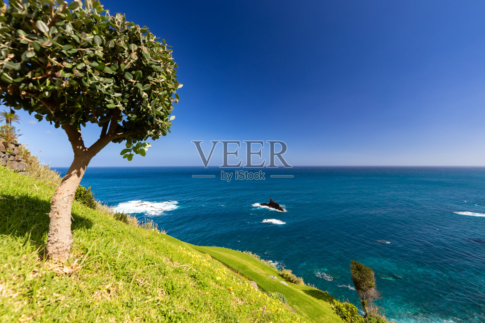 马德拉的山脉和海洋景观照片摄影图片