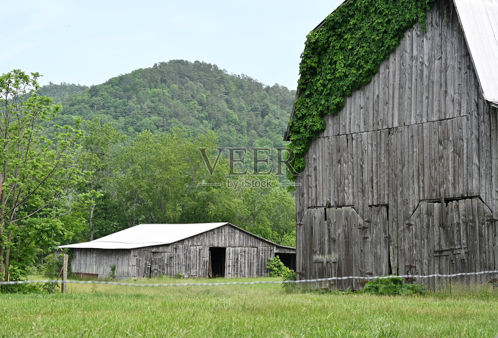旧谷仓和小棚屋照片摄影图片