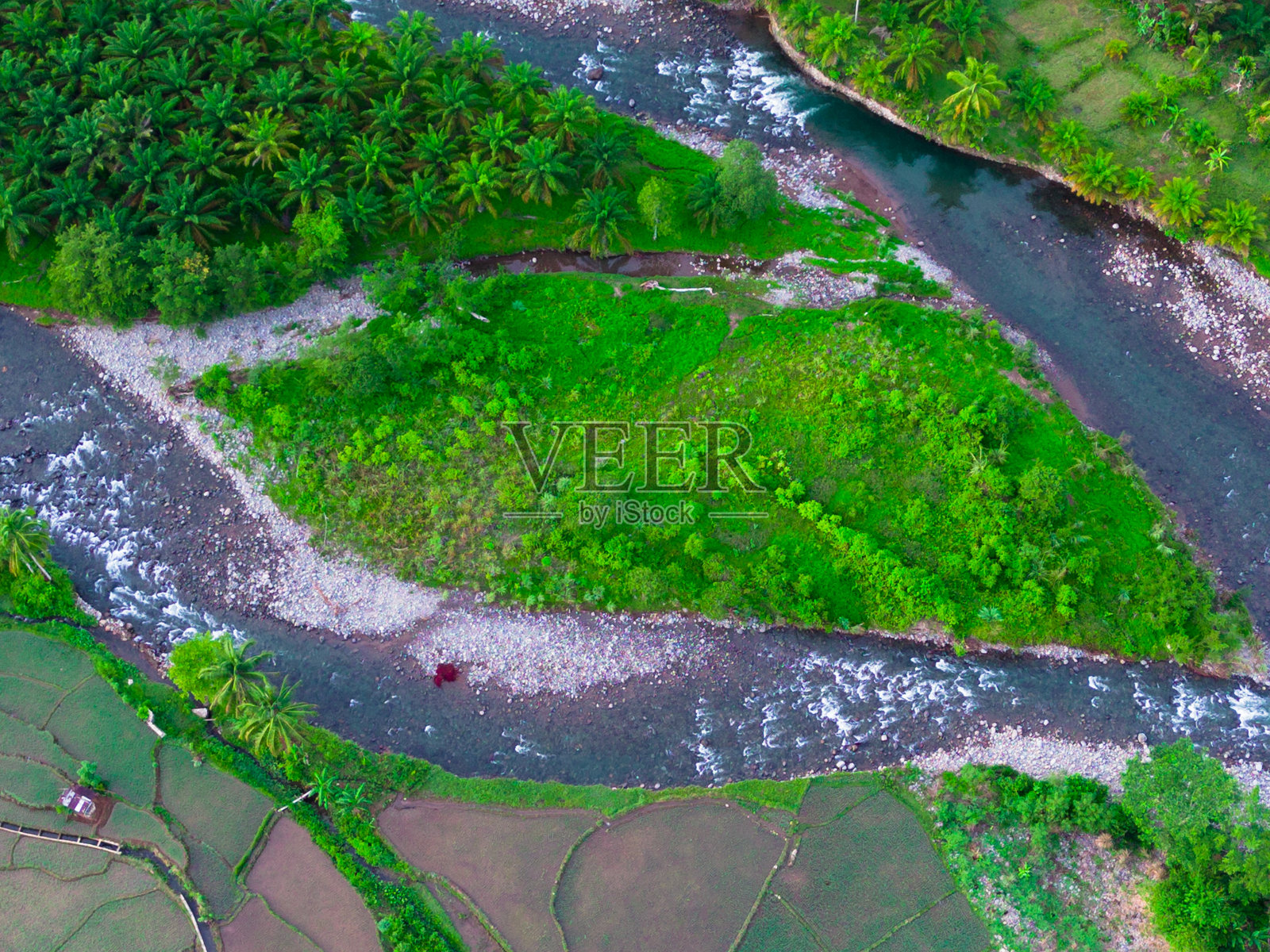 美丽的早晨景色，印度尼西亚全景，稻田与美丽的色彩和自然光的天空。照片摄影图片