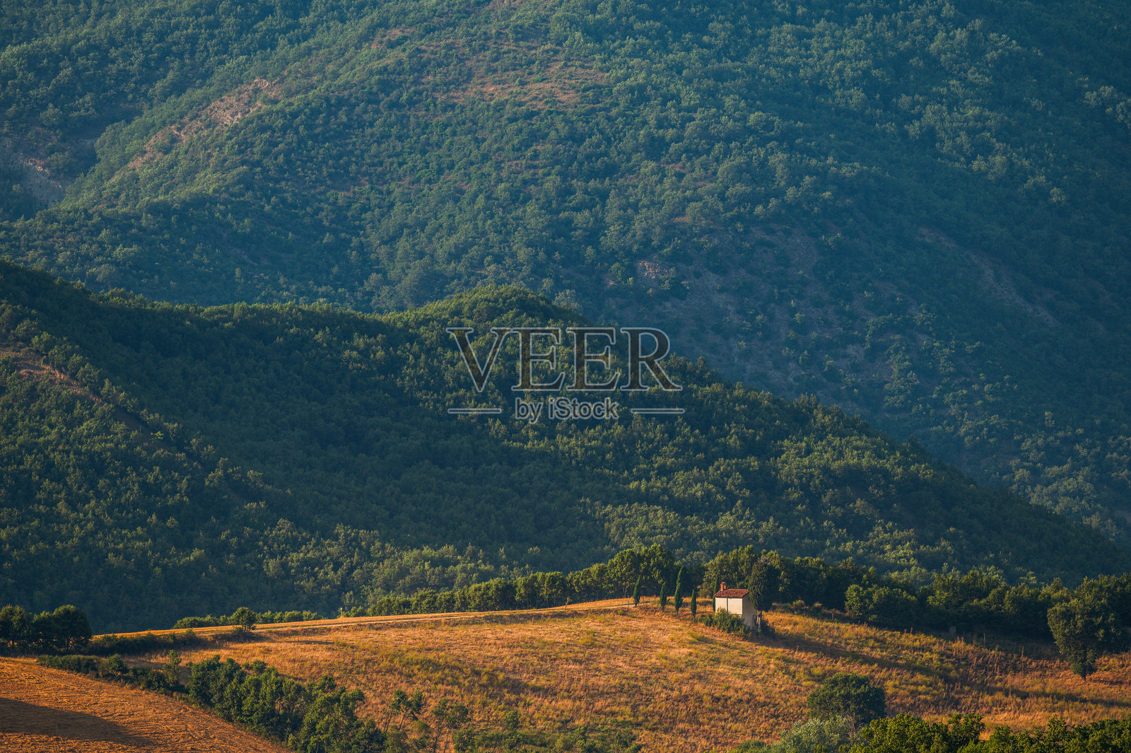 巴西利卡塔的阿格里谷乡村夏季风景照片摄影图片