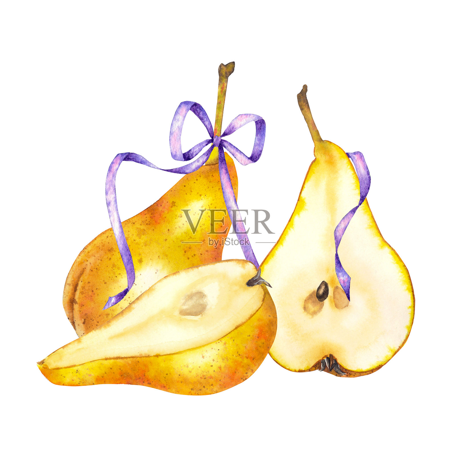 水彩插图：完整的和切片的插画图片素材