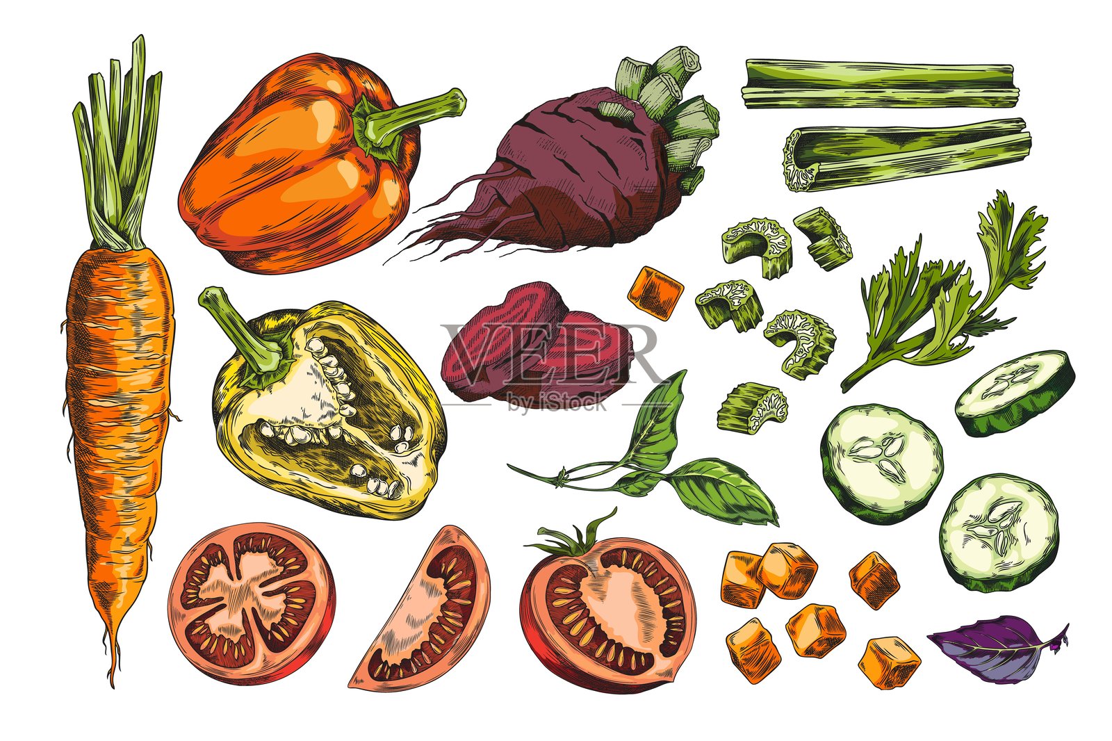 详细的矢量蔬菜套装，包括整颗和切开的蔬菜，背景为纯色。插画图片素材