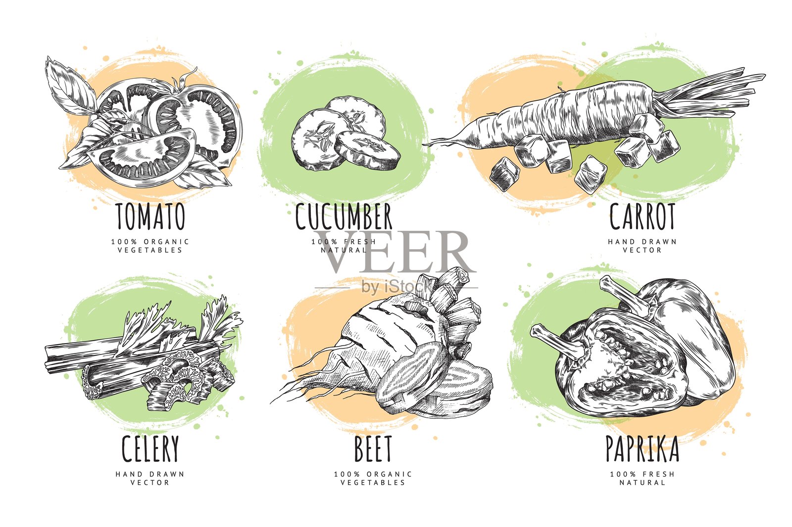 有机蔬菜素描矢量图集插画图片素材
