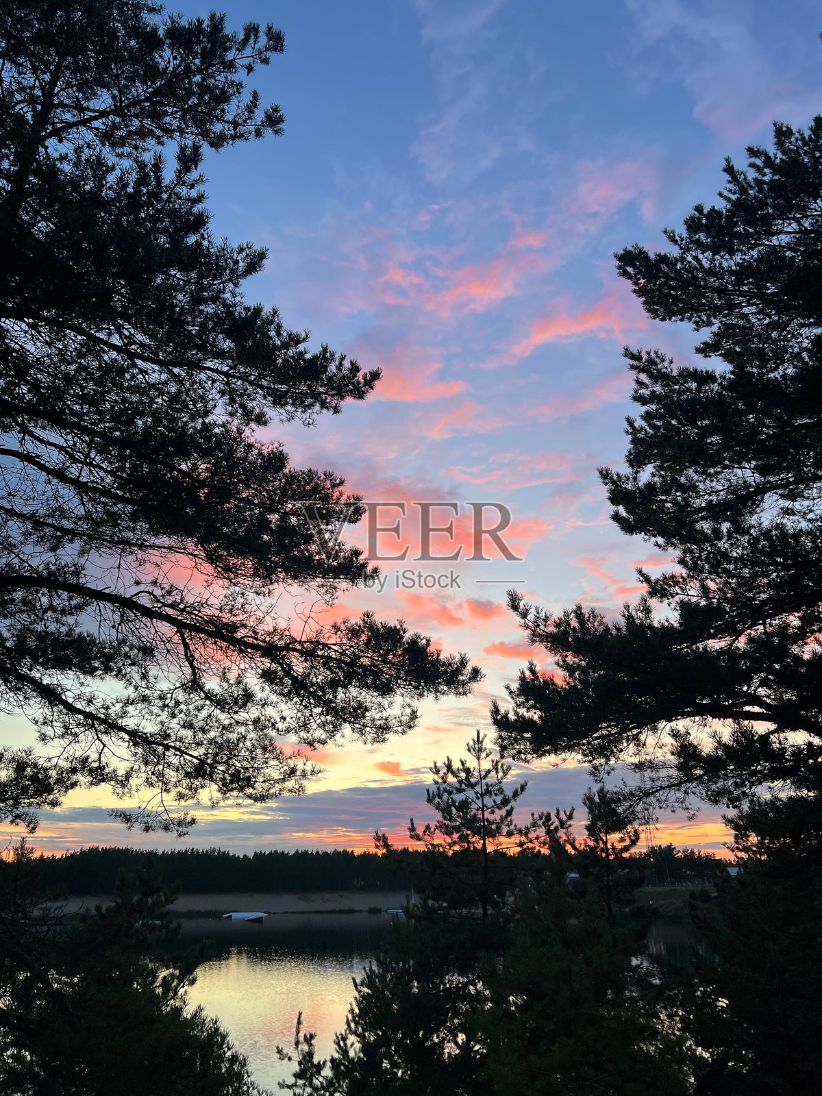 松树间的日落映照在宁静的湖面上照片摄影图片