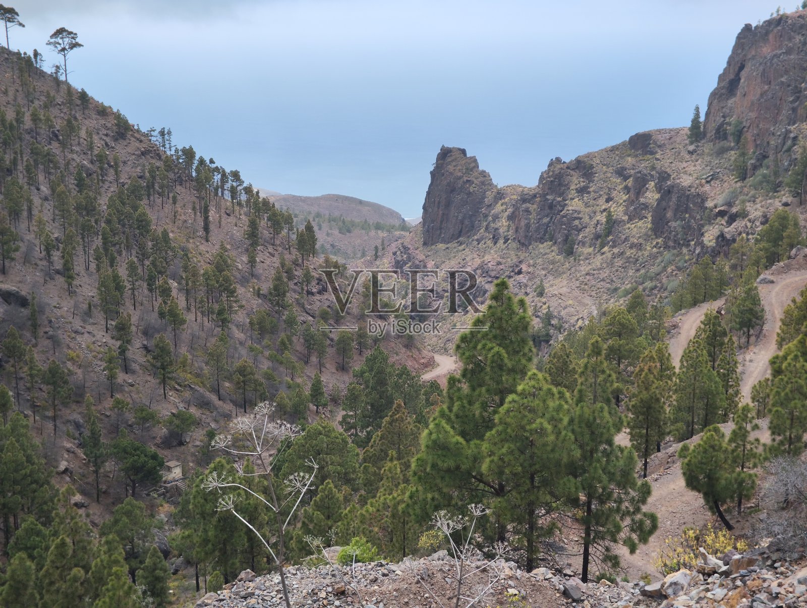 提尔马谷照片摄影图片